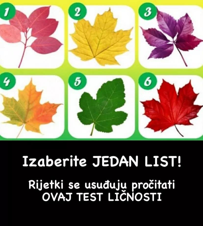 IZABERITE JEDAN LIST: Rijetki se usuđuju uraditi ovaj TEST LIČNOSTI – evo šta govori o vama