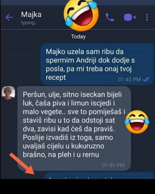 DJEVOJKA SE TEK UDALA I PITALA MAMU RECEPT ZA RIBU, DA SPREMI RUČAK MUŽU: Zbog njene zadnje poruke BALKAN PLAČE OD SMIJEHA