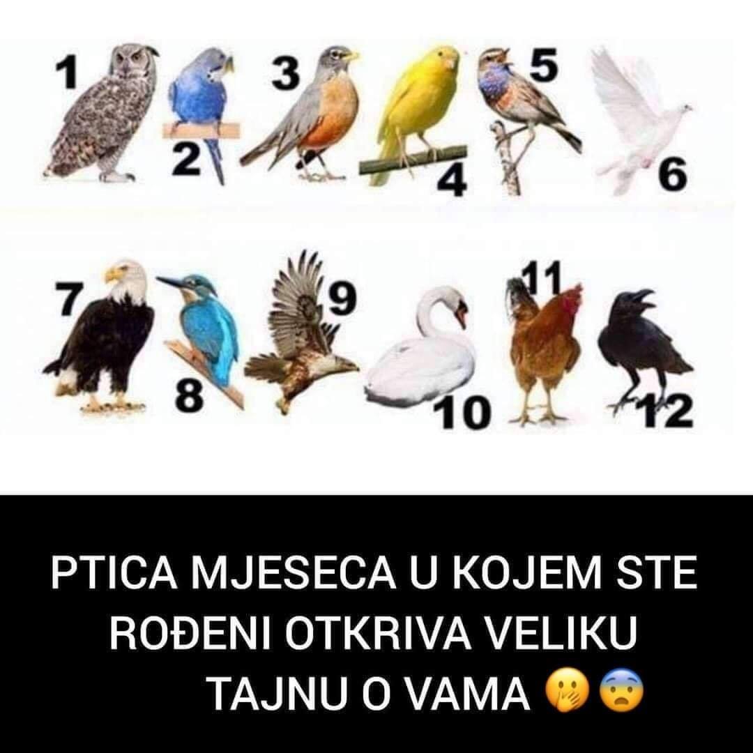 tice1