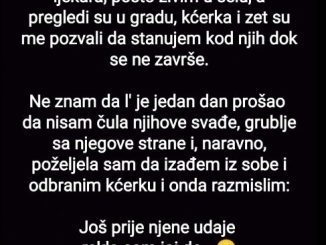 Imala sam zakazane preglede kod ljekara, pošto živim u selu, a pregledi su u gradu, kćerka i zet su