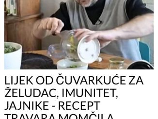 LIJEK OD ČUVARKUĆE ZA ŽELUDAC, IMUNITET, JAJNIKE – RECEPT TRAVARA MOMČILA ANTONIJEVIĆA: Potrebna su vam samo 2 sastojka!