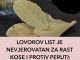 LOVOROV LIST JE NEVJEROVATAN ZA RAST KOSE I PROTIV PERUTI: Napravite ovu moćnu tečnost i nanesite prije pranja!