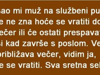 OTIŠAO MI MUŽ NA SLUŽBENI PUT I KAŽE NE ZNA HOĆE SE VRATIT DO NAVEČER