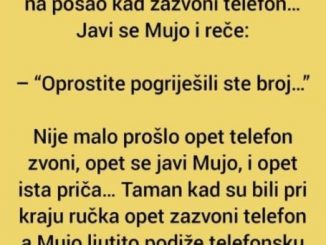 Vic: Mujo i Fata ručaju