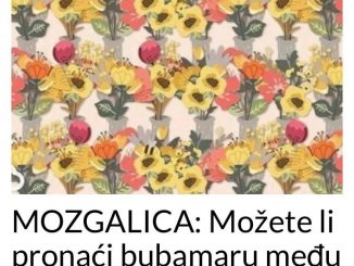 MOZGALICA:  Možete li pronaći bubamaru među cvijećem?