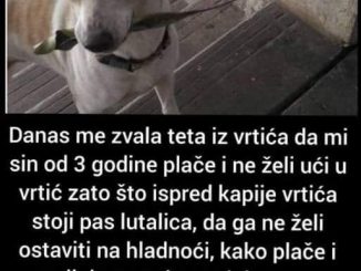 Danas me zvala teta iz vrtića da mi sin od 3 godine plače i ne želi ući u vrtić