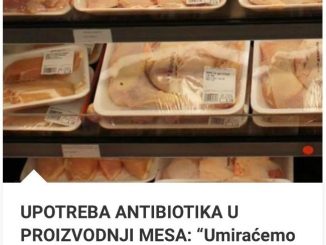 UPOTREBA ANTIBIOTIKA U PROIZVODNJI MESA:  “Umiraćemo od upale krajnika!”