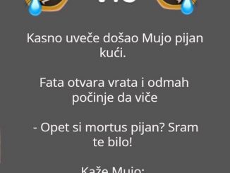 VIC DANA: Mujo se vratio kući