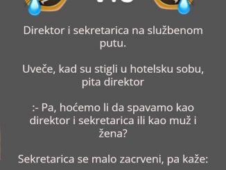 VIC DANA: Direktor i sekretarica