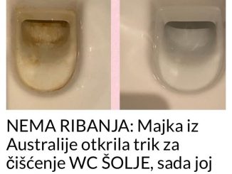 NEMA RIBANJA: Majka iz Australije otkrila trik za čišćenje WC ŠOLJE, sada joj se žene širom svijeta zahvaljuju