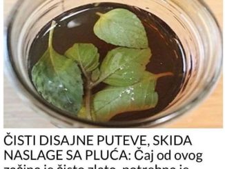 ČISTI DISAJNE PUTEVE, SKIDA NASLAGE SA PLUĆA:  Čaj od ovog začina je čisto zlato, potrebna je jedna šolja dnevno!