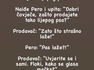 VIC 🤣 Na tržnici čovjek prodaje jako lijepog psa